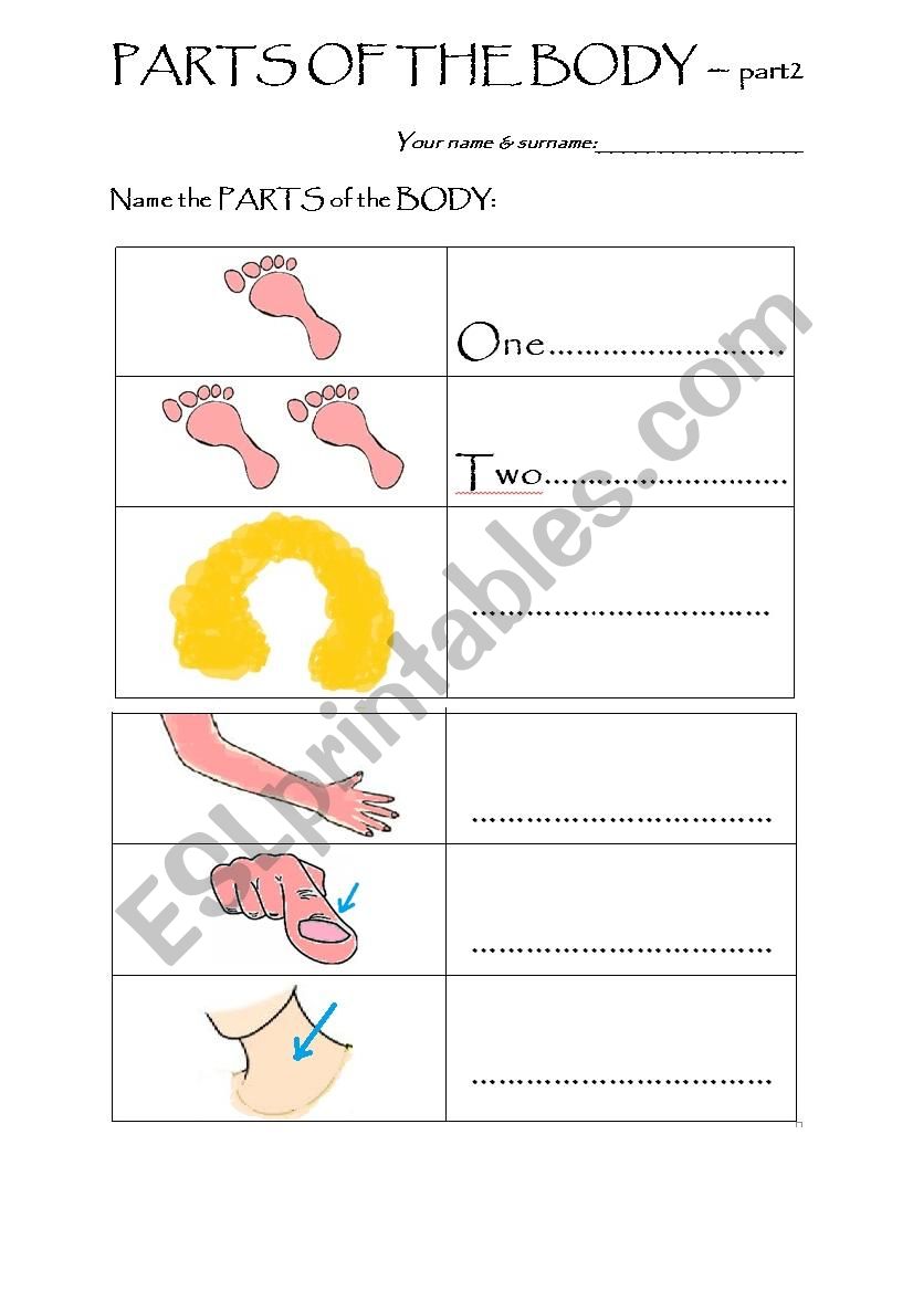 Parts of the body - TEST - part 2
