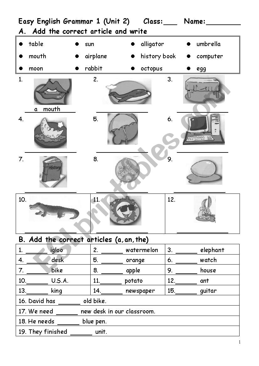 How to use the article for nouns properly