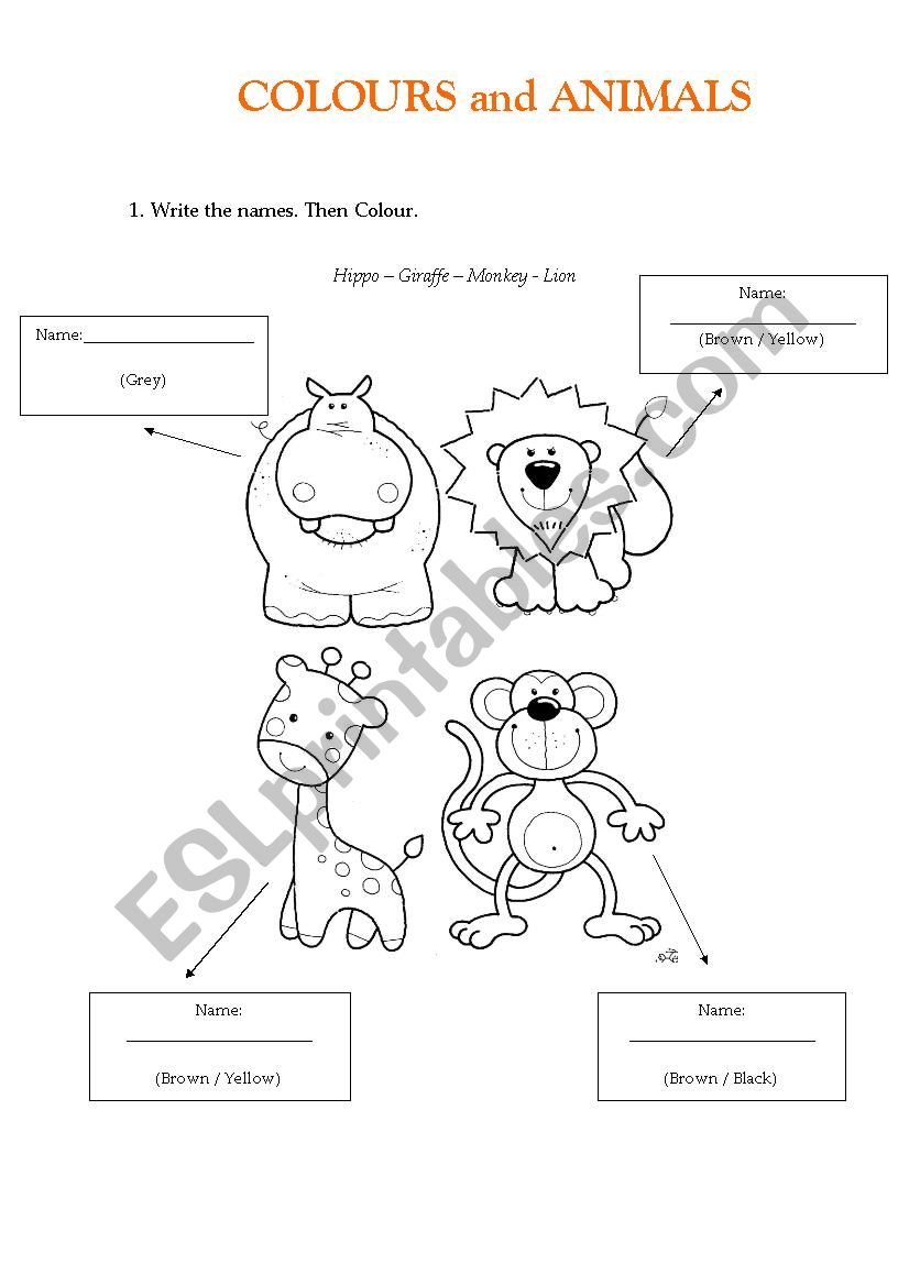 Animals and Colours worksheet