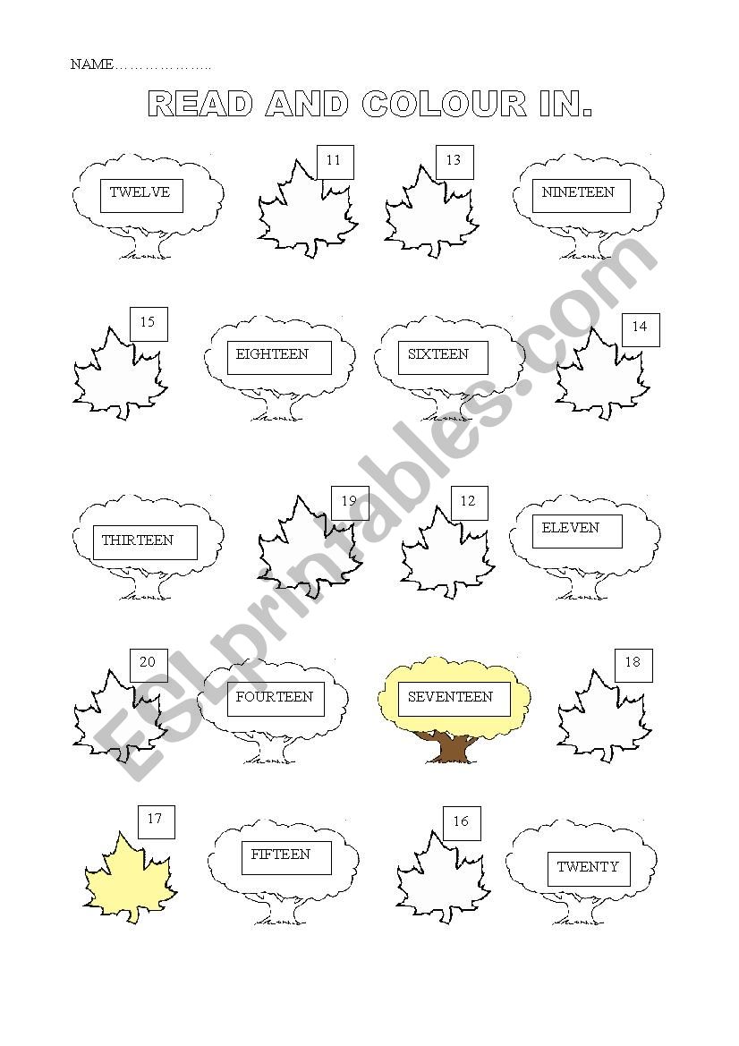 Numbers 11 -20 worksheet