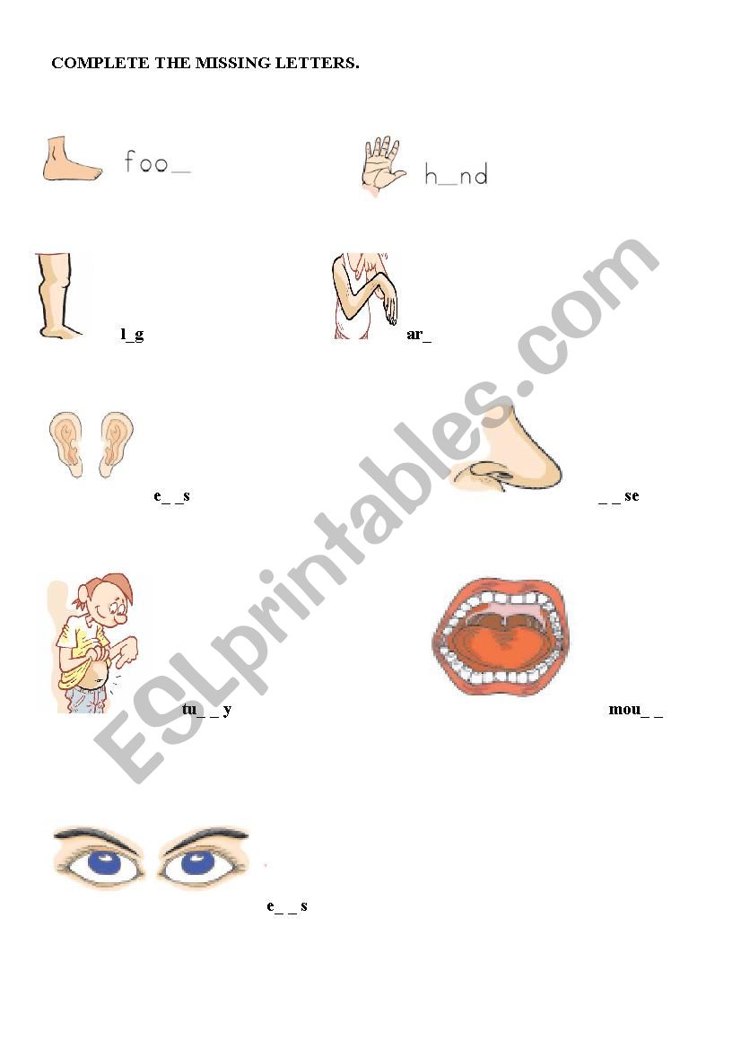 body parts worksheet