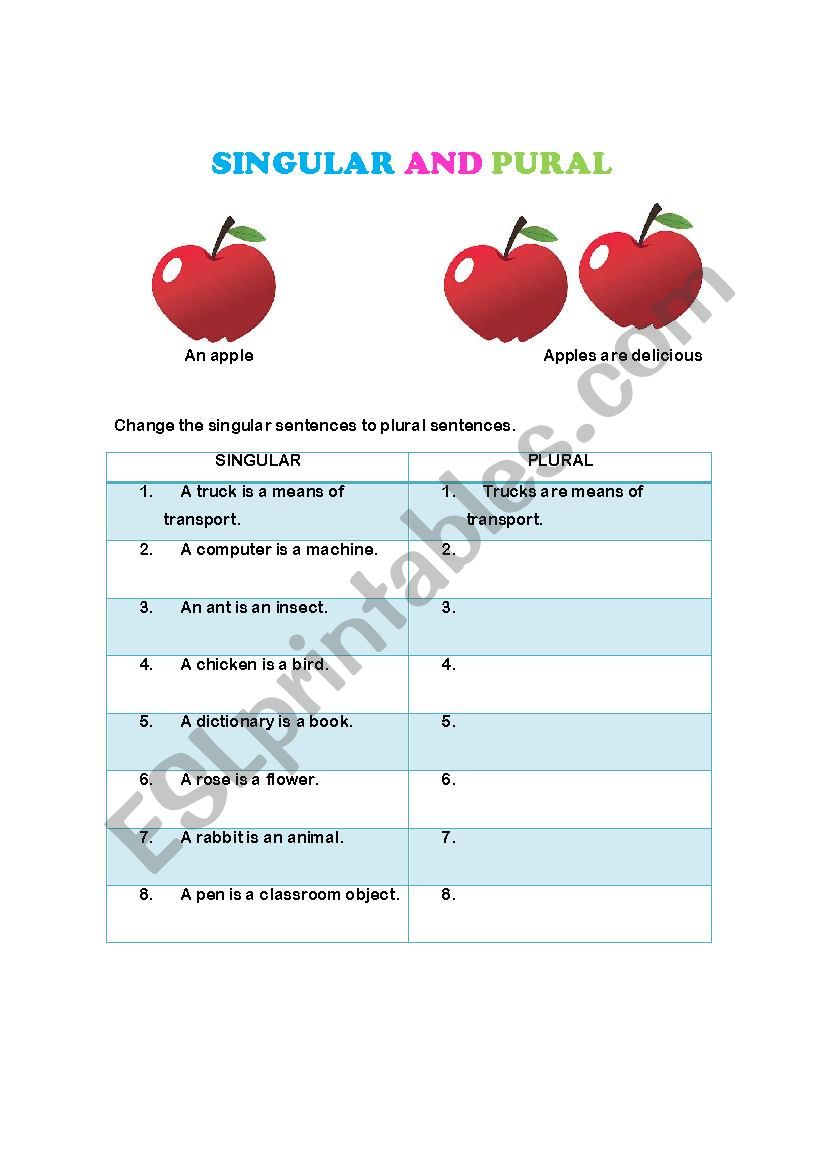 Singular and plural  worksheet