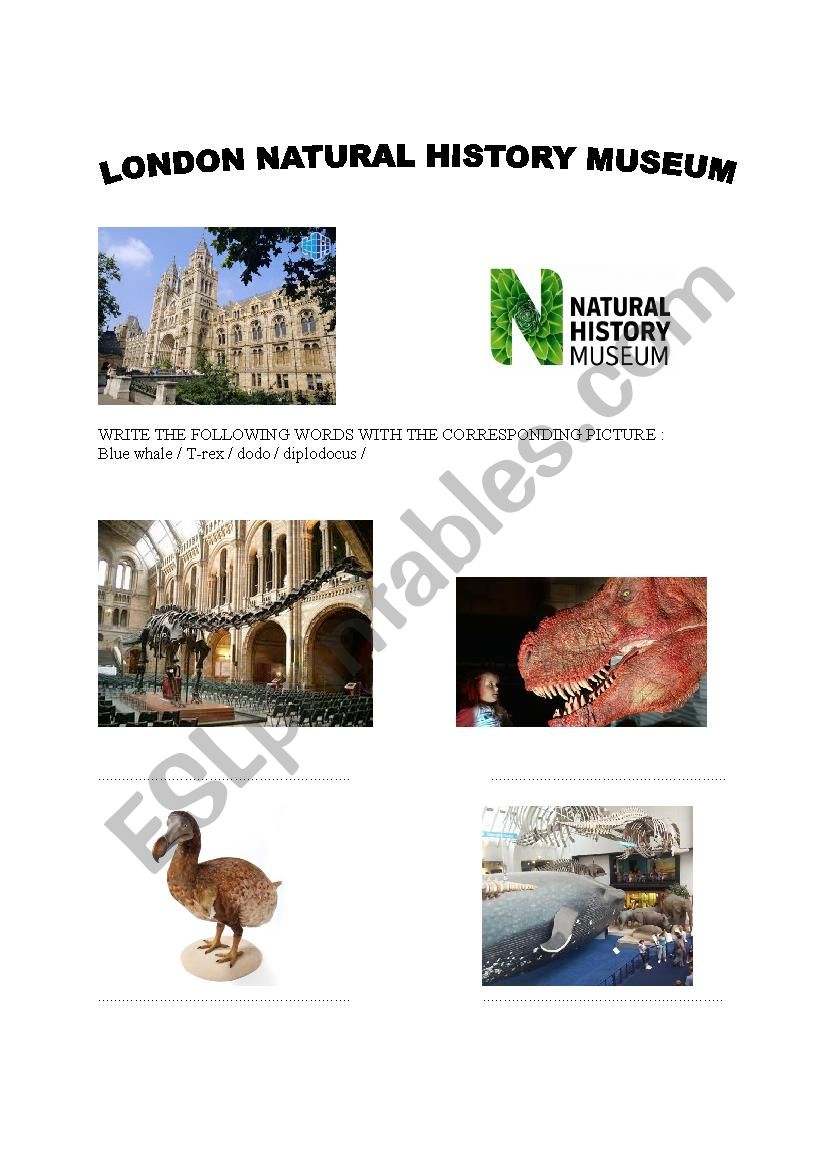 A visit at the London natural history museum