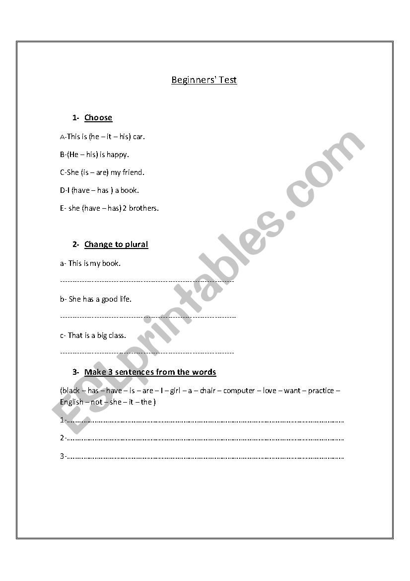 biginners test worksheet