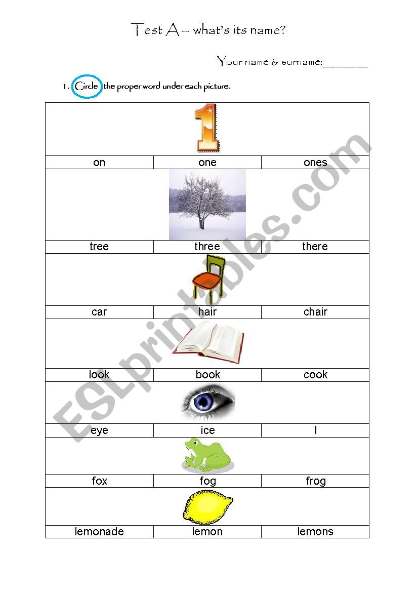 TestA-whats its name? worksheet