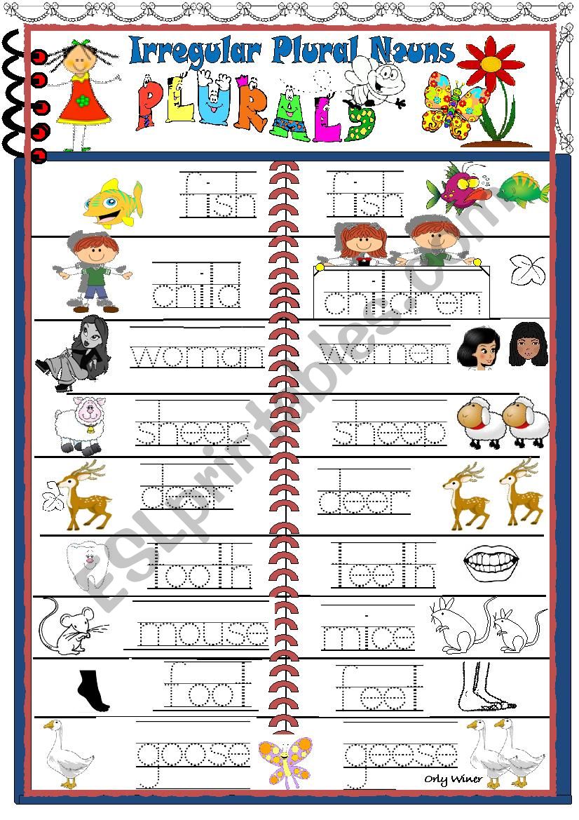  Pictorial dictionary- Irregular  Plural  Nouns