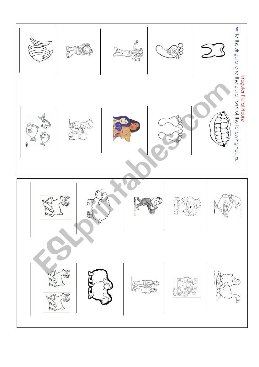 Irregular plural nous worksheet