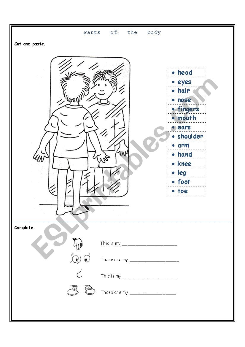 Body parts worksheet