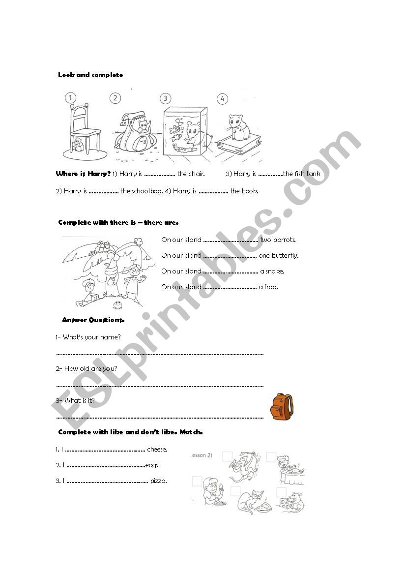 simple Present  worksheet