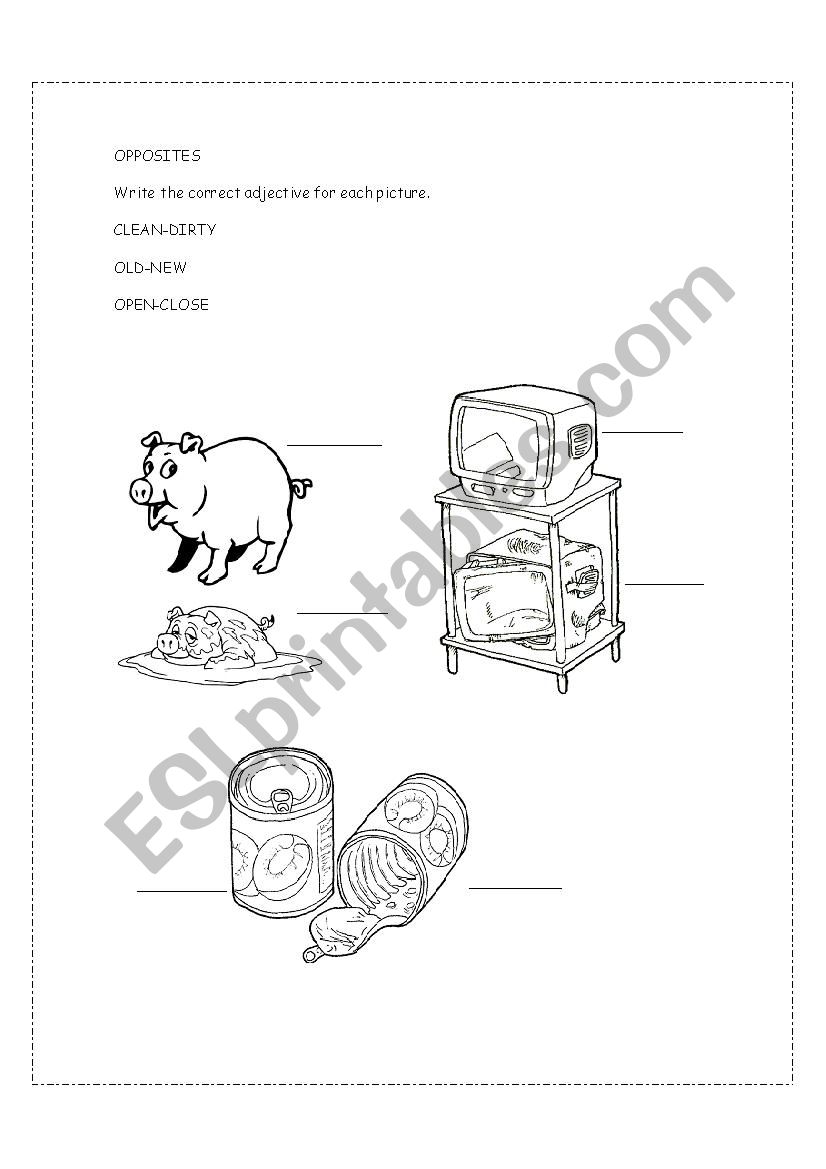 adjectives worksheet