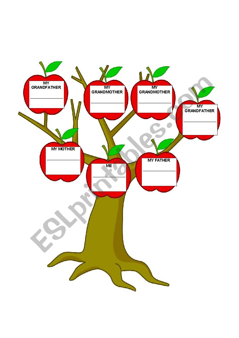 Family Tree worksheet