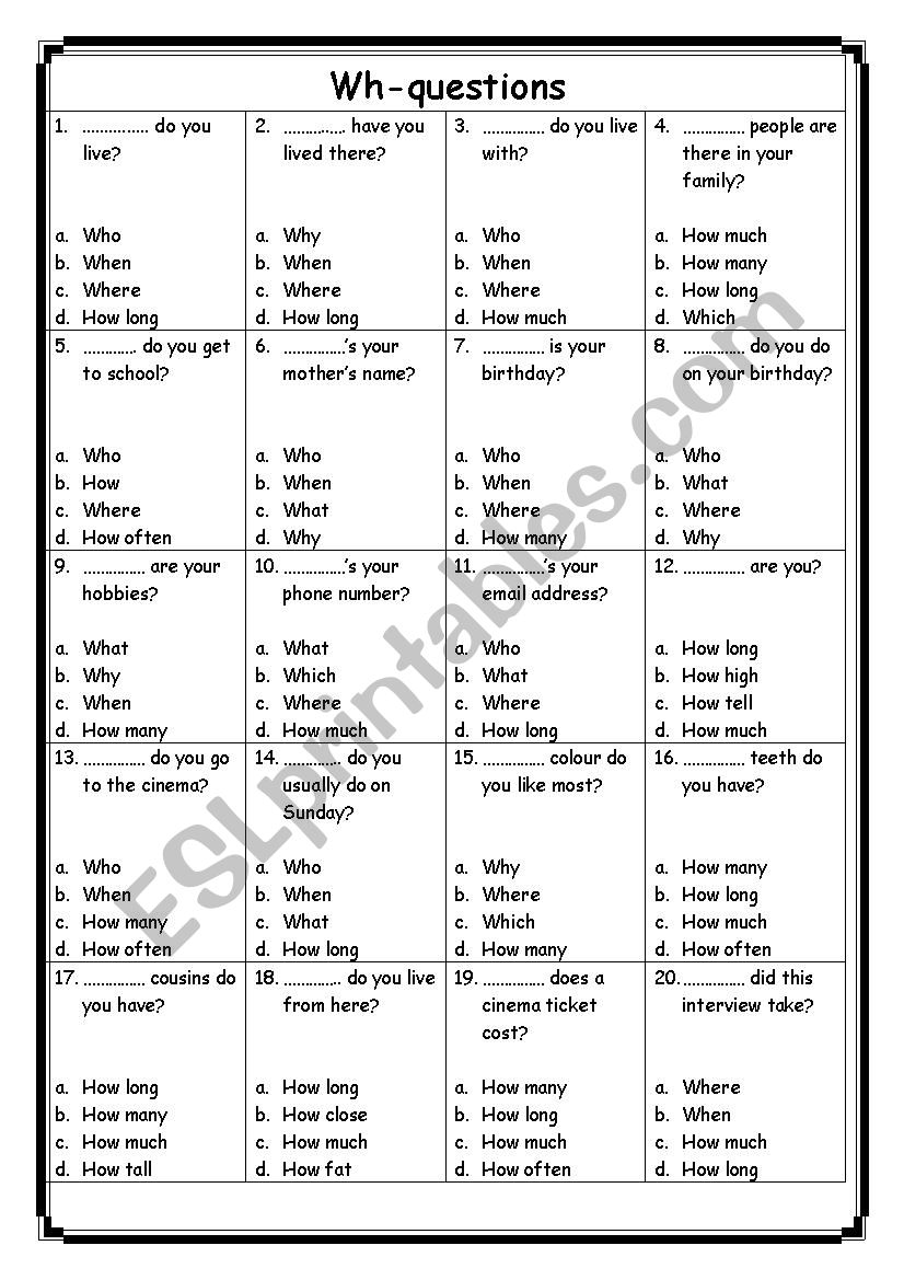 wh-question worksheet