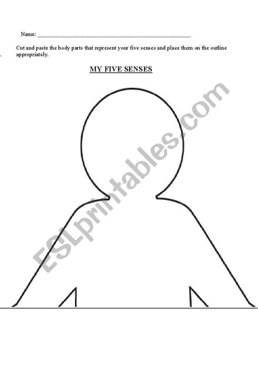 The Five Senses worksheet