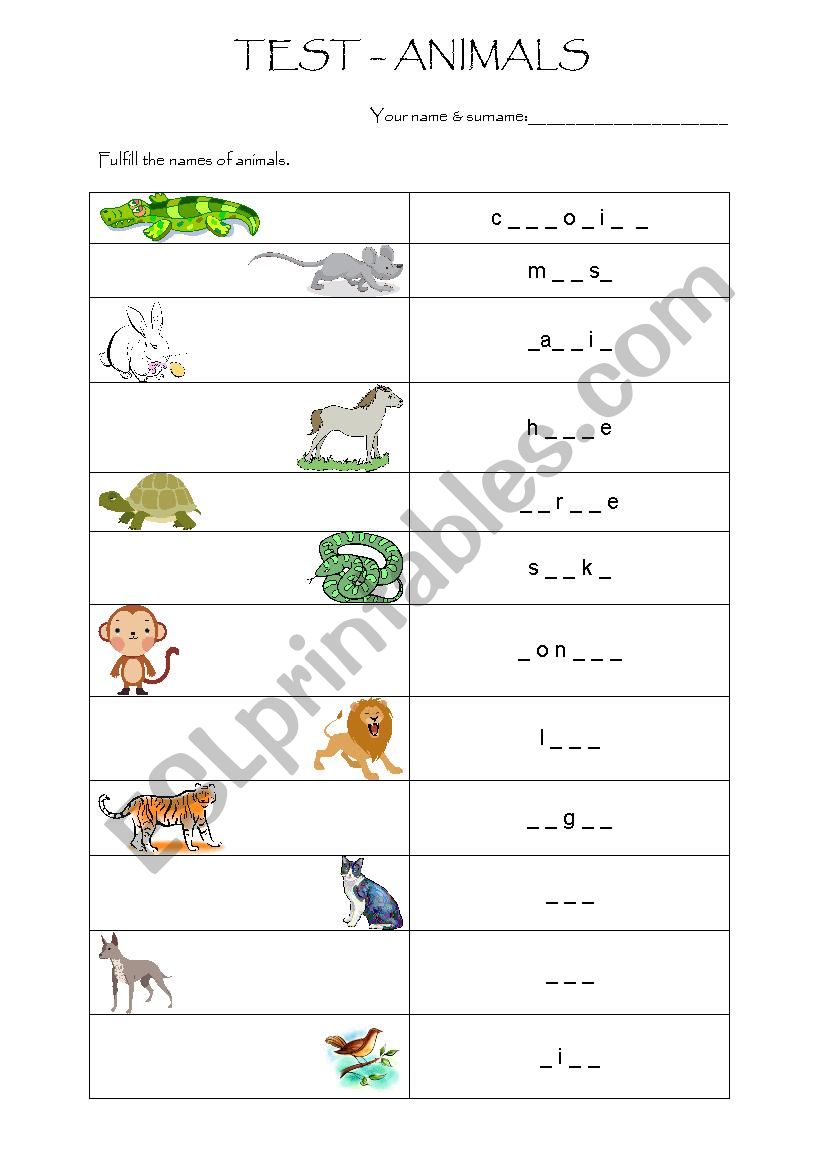 Test - Animals worksheet
