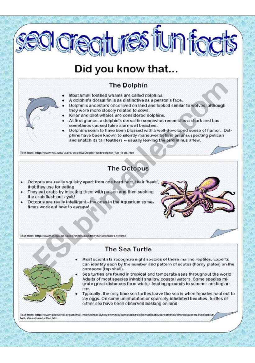 Sea Creatures Fun Facts - Part 1 of 2 - ESL worksheet by ichacantero Sea Creatures Fun Facts - Part 1 of 2 - ESL worksheet by ichacantero