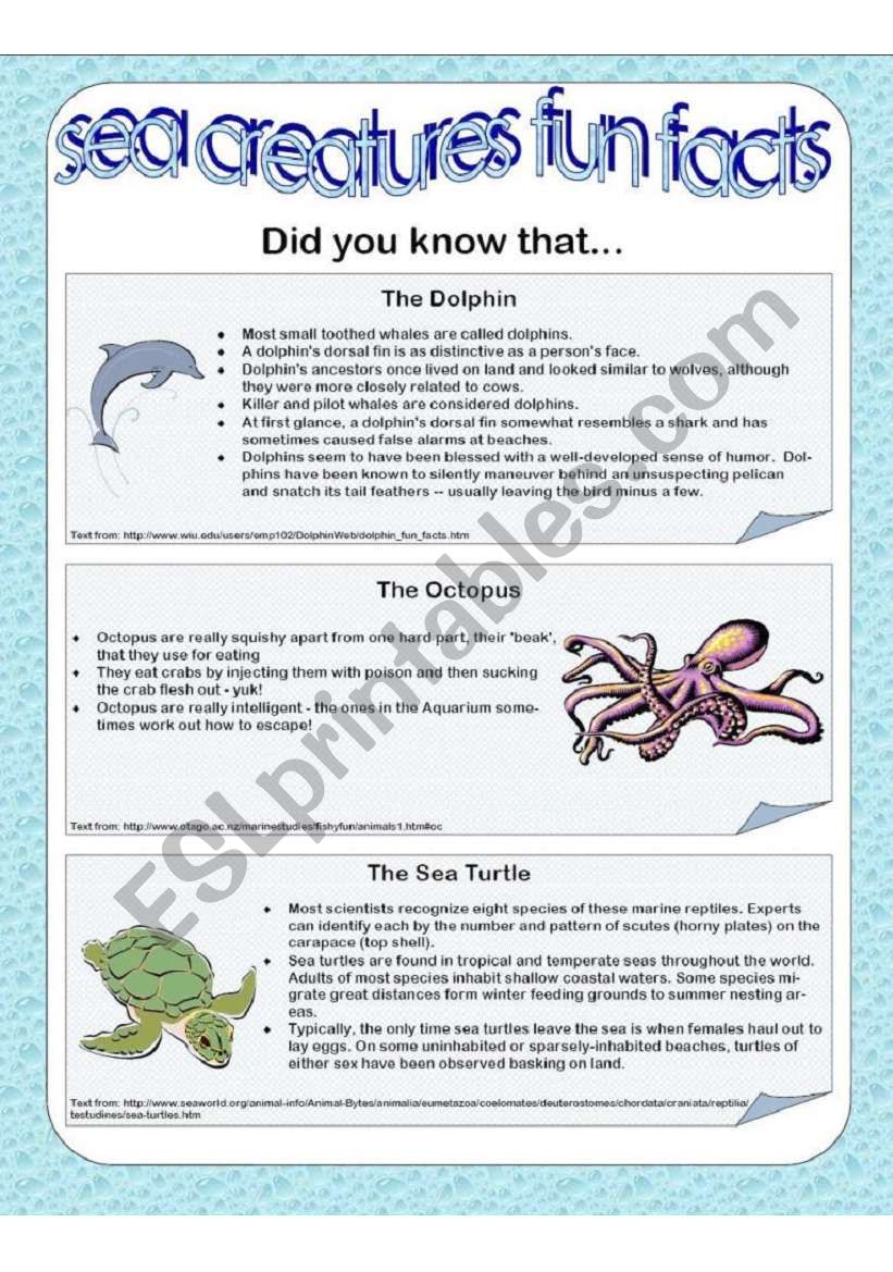 Sea Creatures Fun Facts - Part 1 of 2