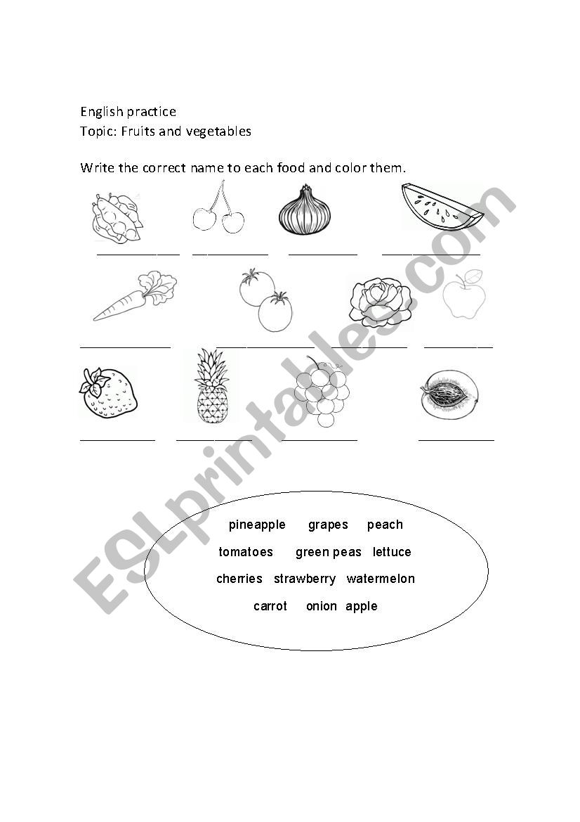 Kinds of food worksheet
