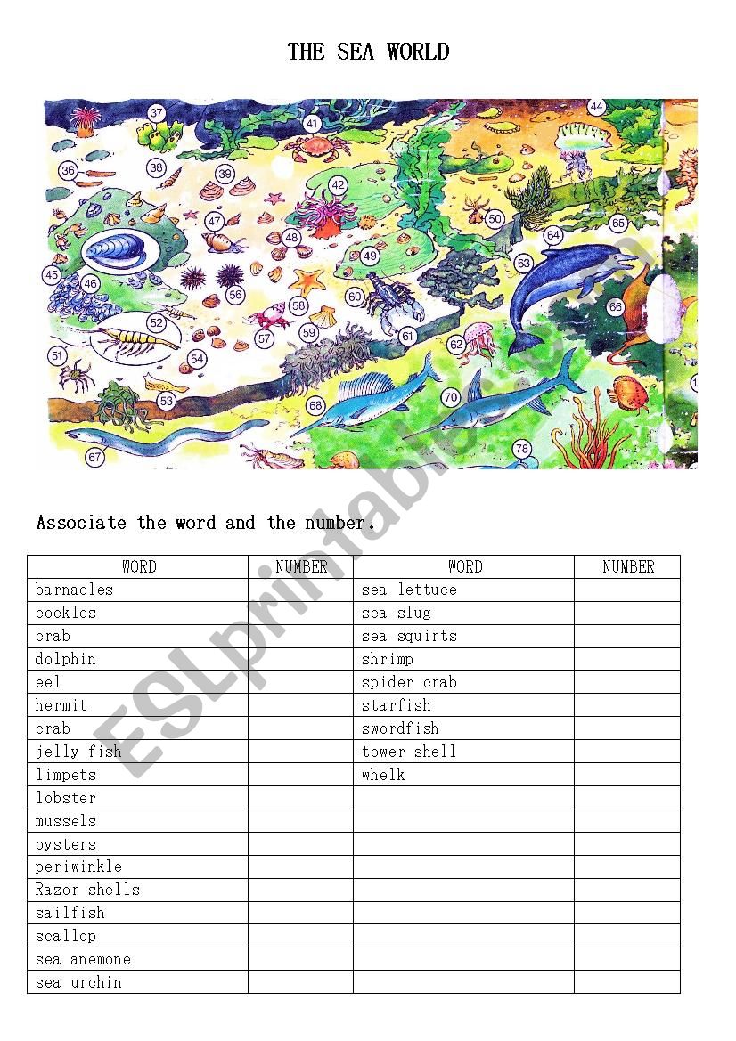 The sea world worksheet