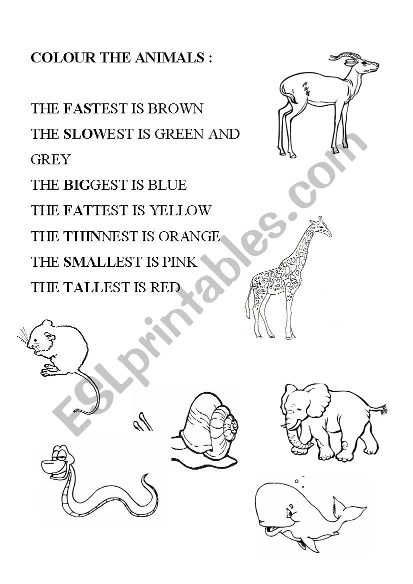 Wild Animal Superlatives worksheet