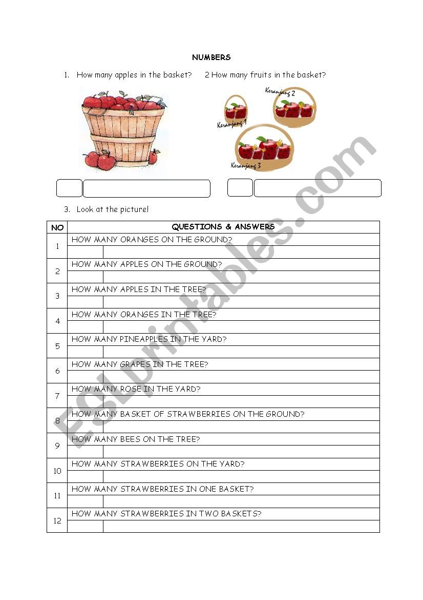 Numbers worksheet