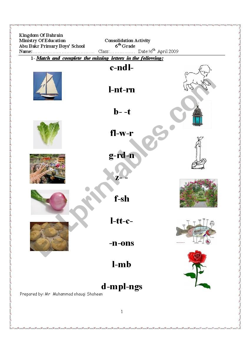 Consolidation Activity  worksheet