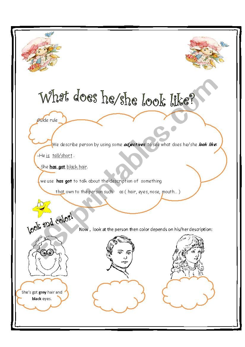 what does he/she look like ? worksheet