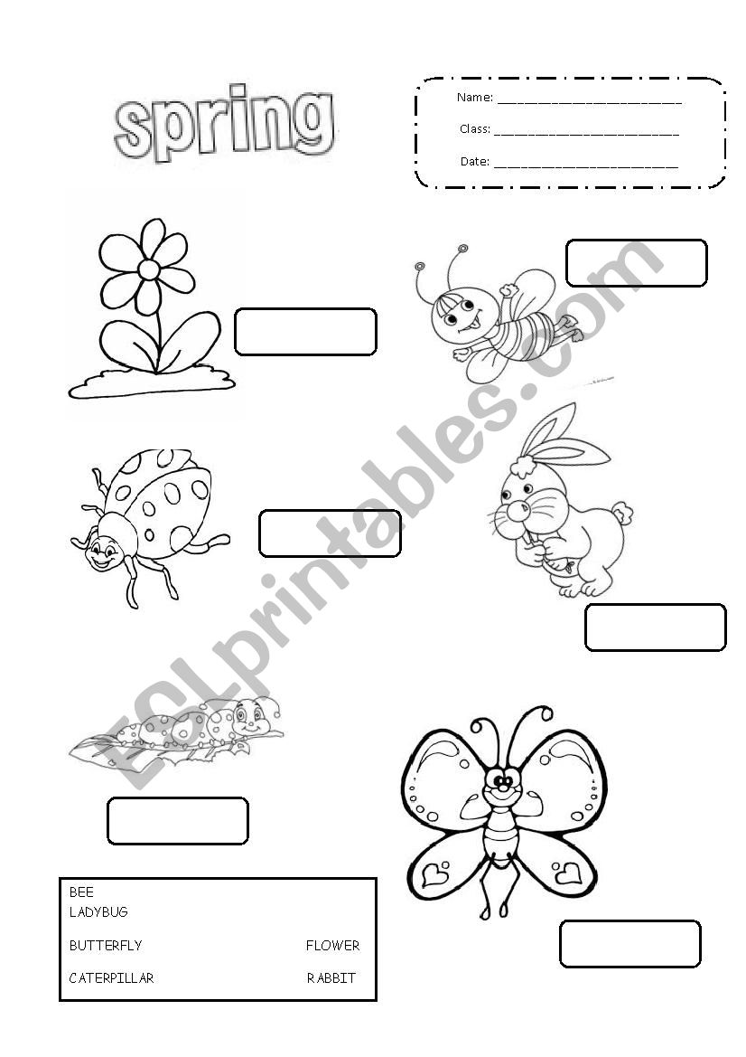 Spring label the pictures worksheet