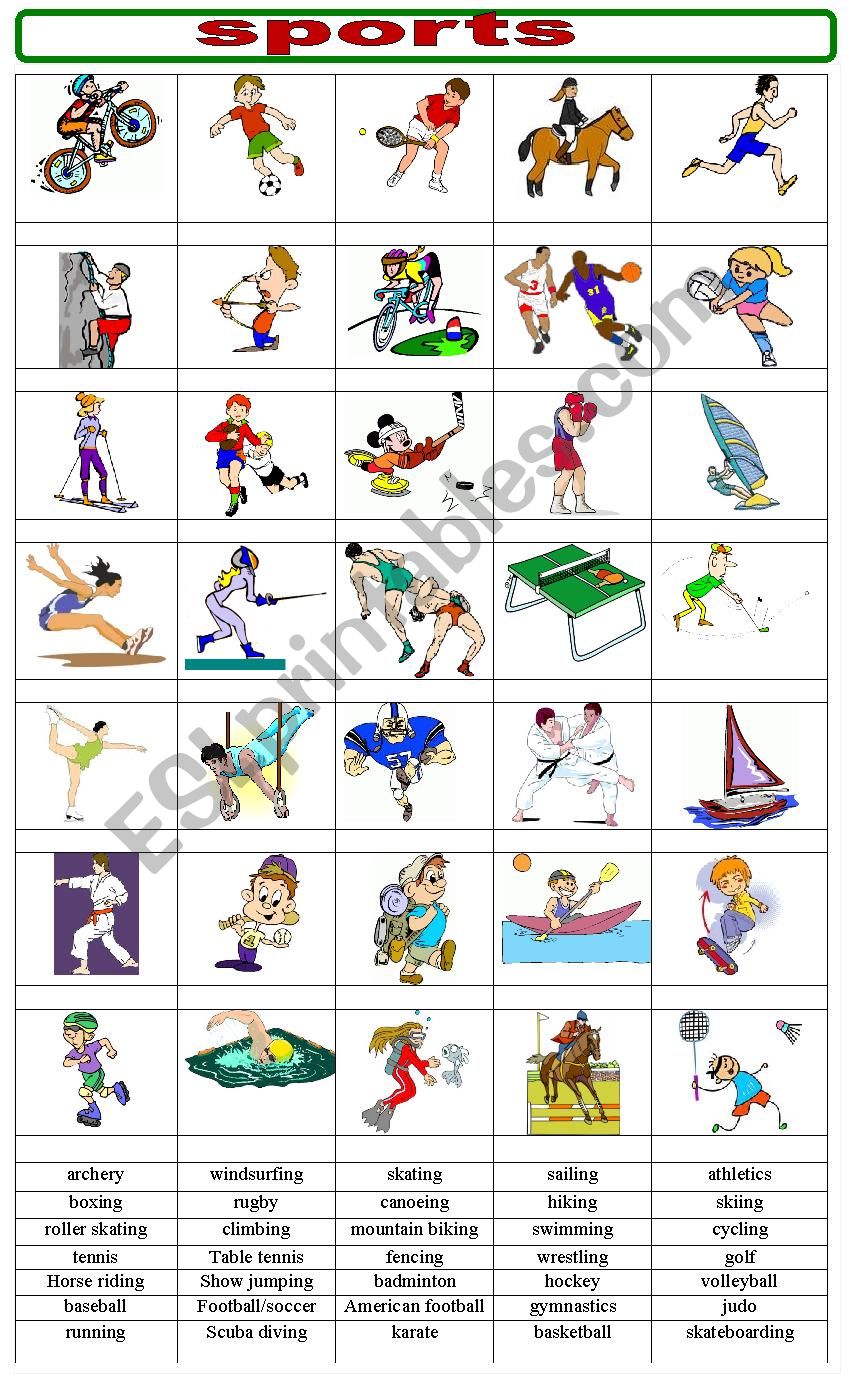 SPORTS worksheet