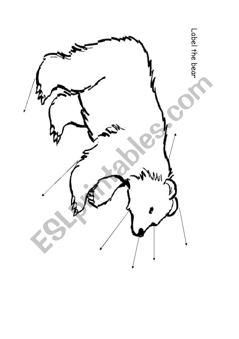 WeÂ´re Going on a Bear Hunt worksheet