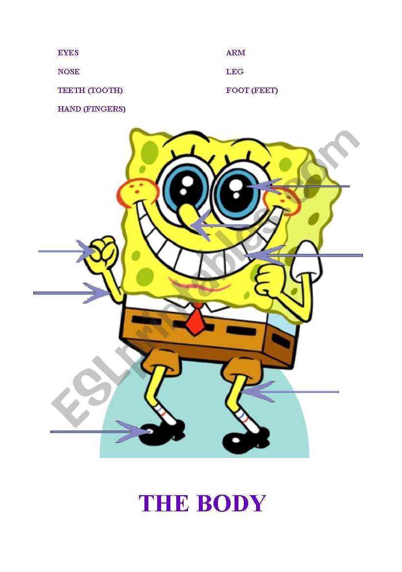 SPONGE BOB BODY PARTS worksheet