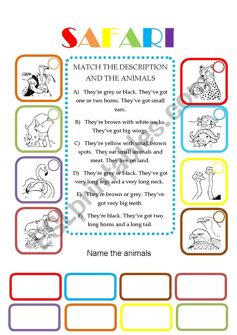 Animals worksheet