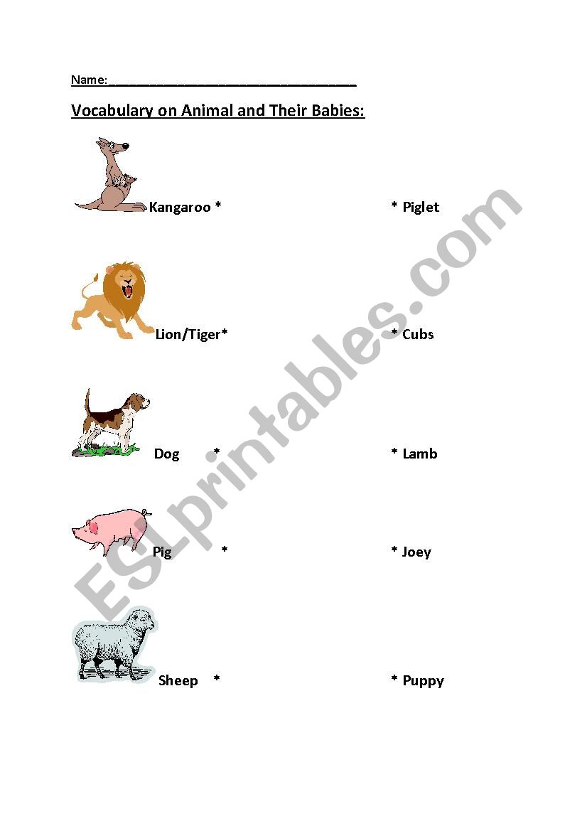 Animal and their Babies - ESL worksheet by xxopps