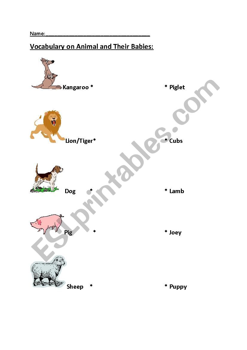 Animal and their Babies worksheet