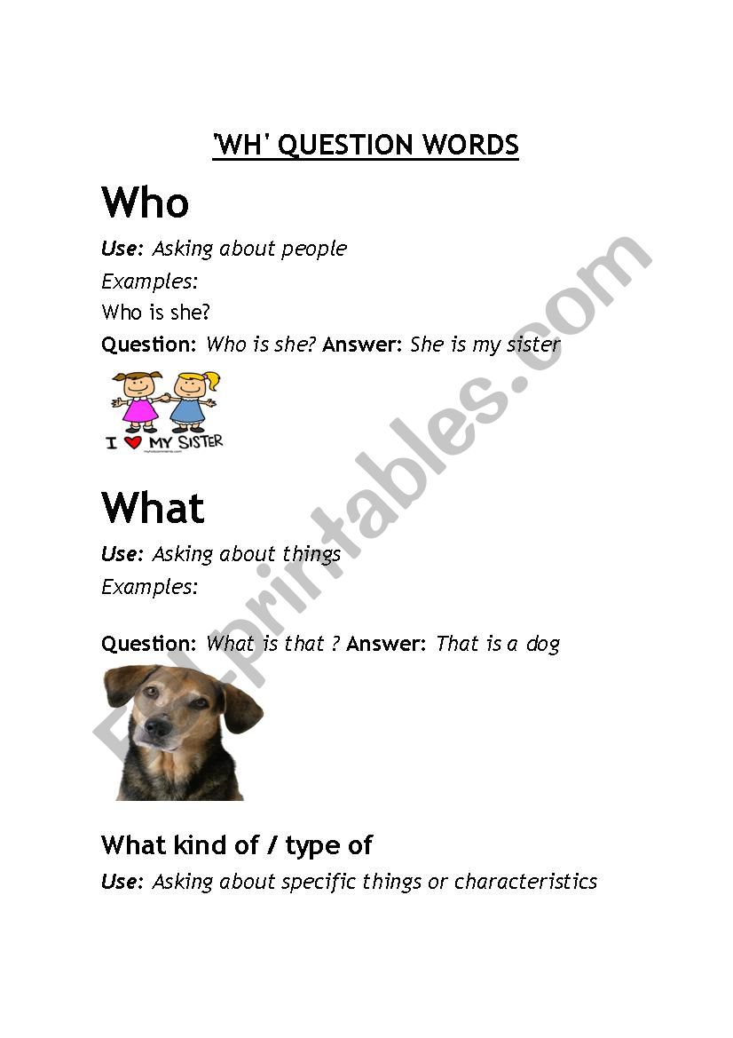 Wh question words explanation worksheet