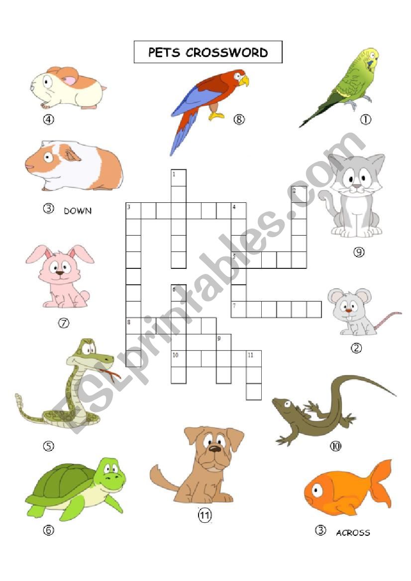 Pets picture crossword worksheet