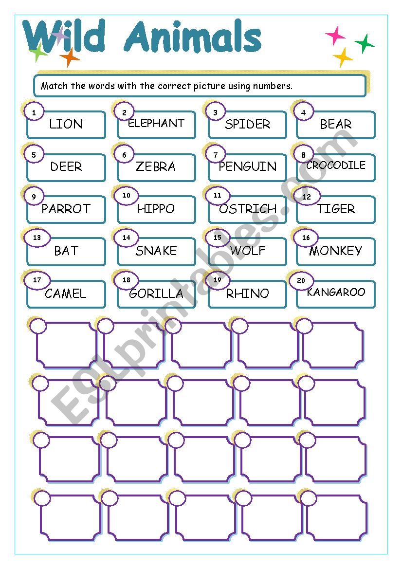 WILD ANIMALS WORKSHEET (animals set 2)