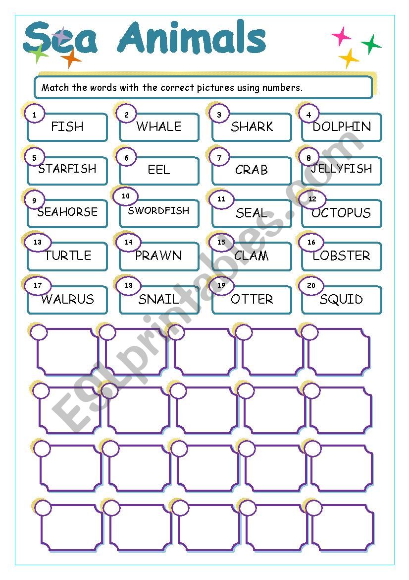 SEA ANIMALS WORKSHEET (animals set 3)