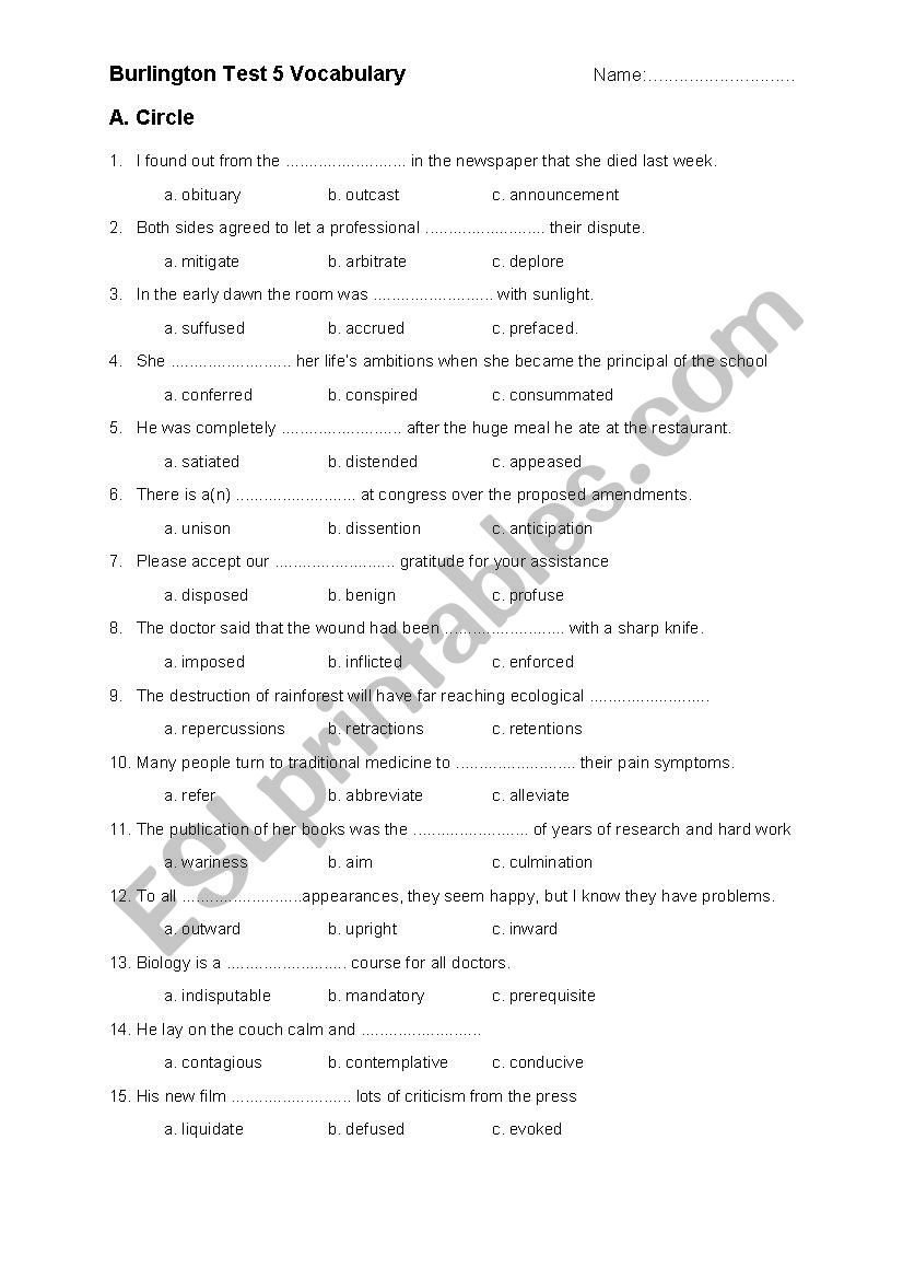 Vocabulary Test 3  worksheet