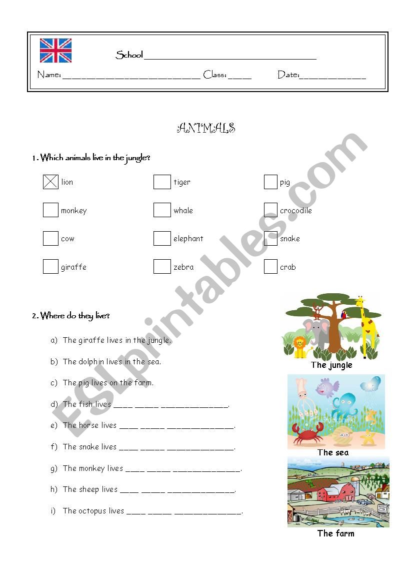 Animals worksheet