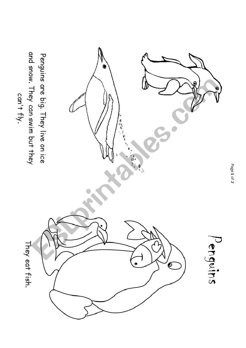 Animal book part 2 worksheet