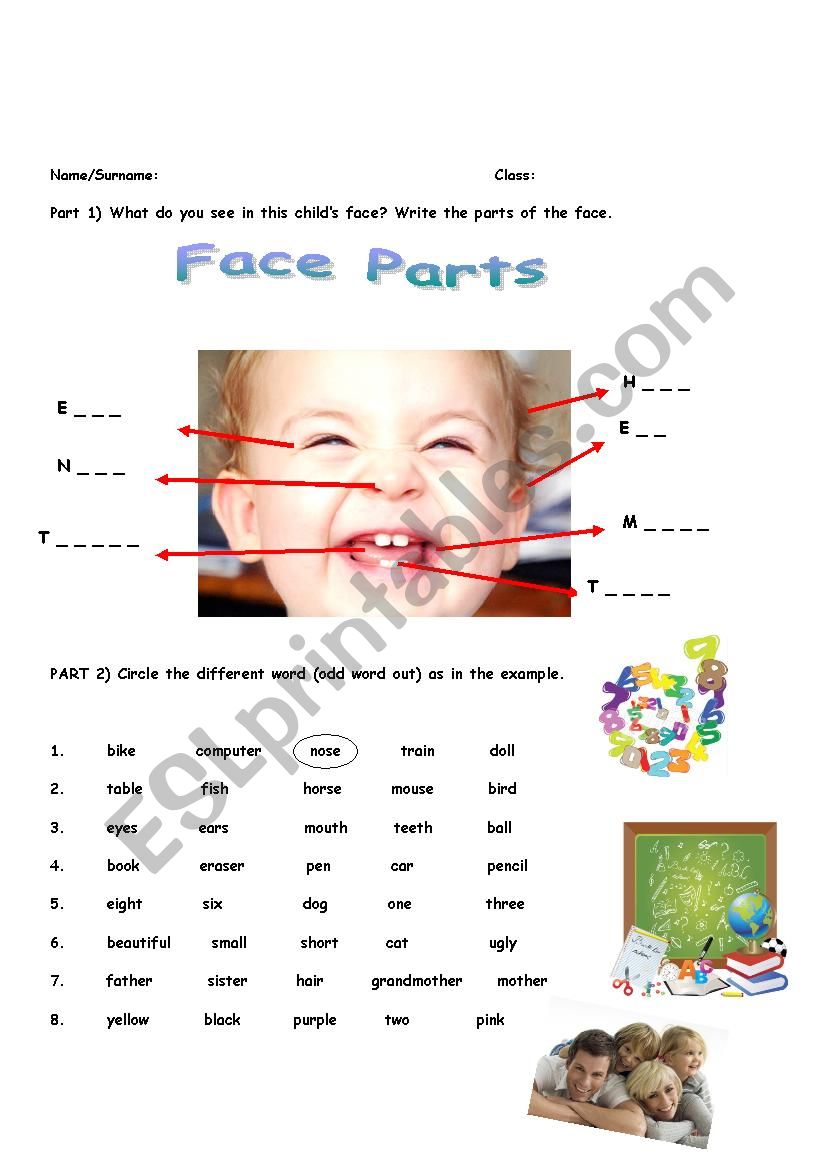 face parts, classroom object worksheet