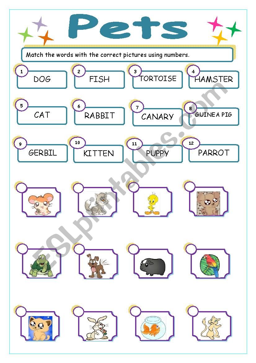 PETS WORKSHEET (animals set 4)