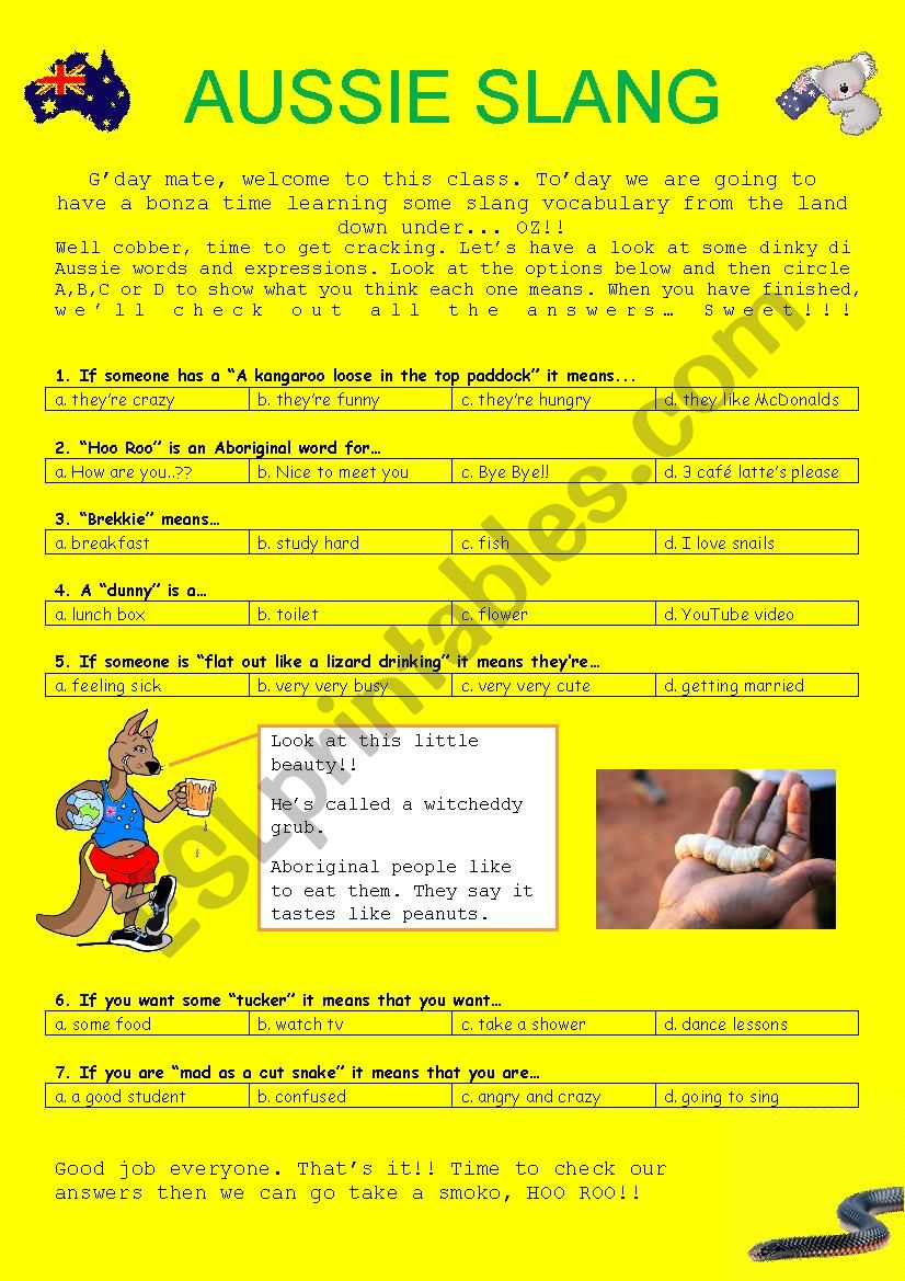 Australian Slang worksheet