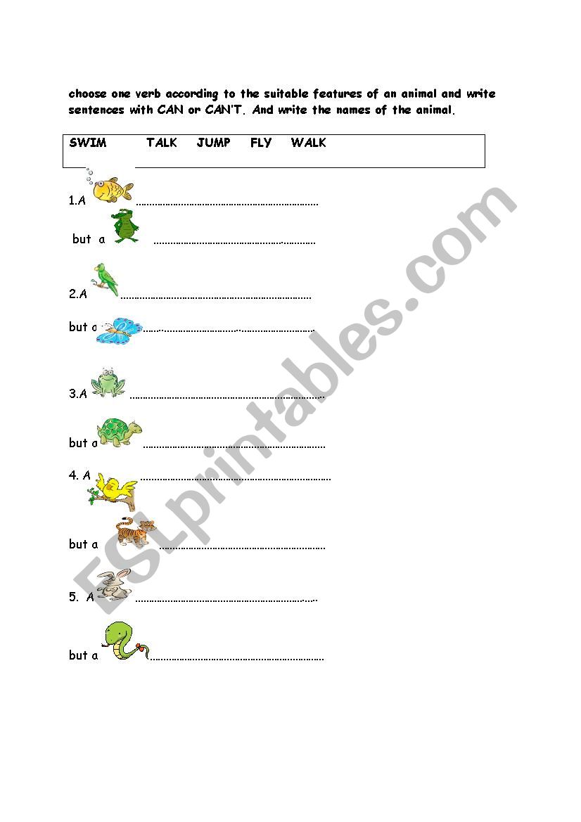 animals worksheet