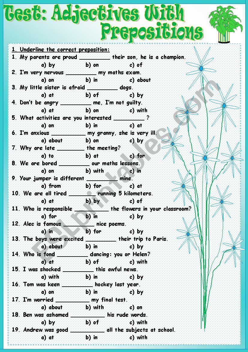 Test: Adjectives With Prepositions