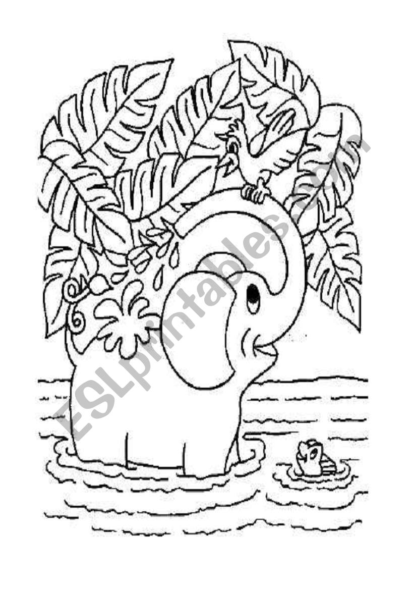 Elephant worksheet