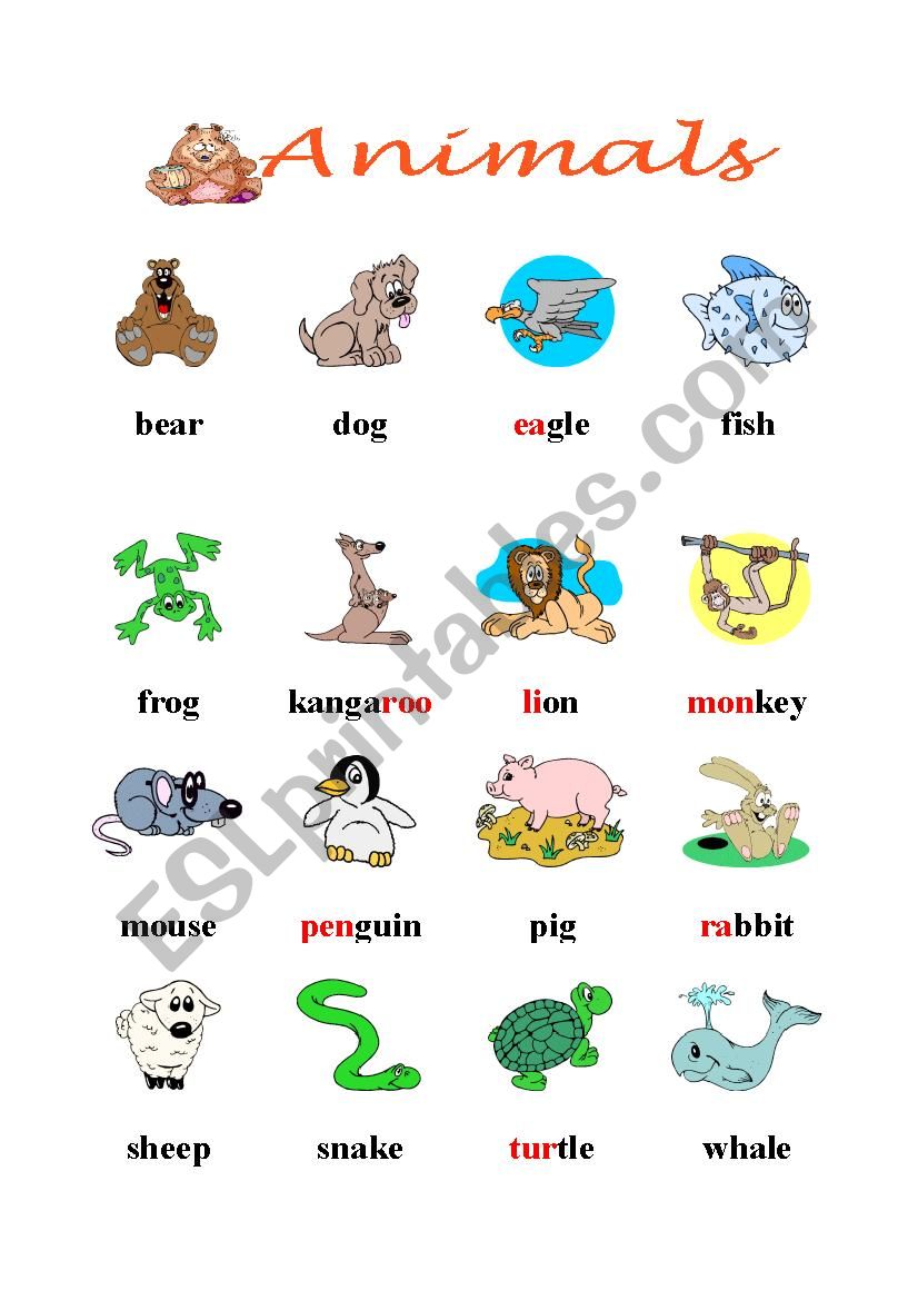 ANIMALS worksheet