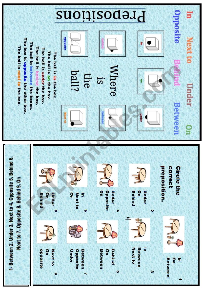 Prepositions worksheet