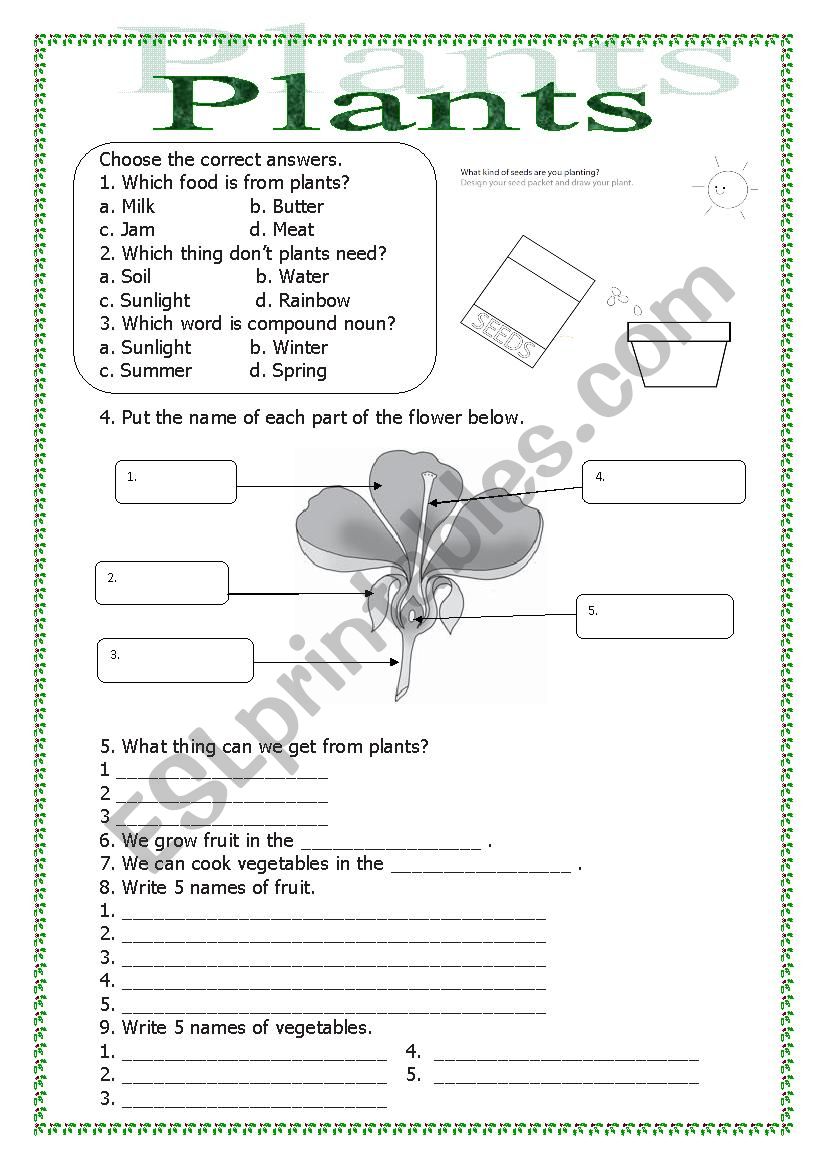 Plants worksheet