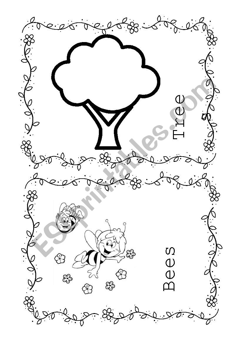 ItÂ´s Spring Time worksheet